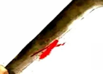 Two students hacked with a sickle near Central Metro.