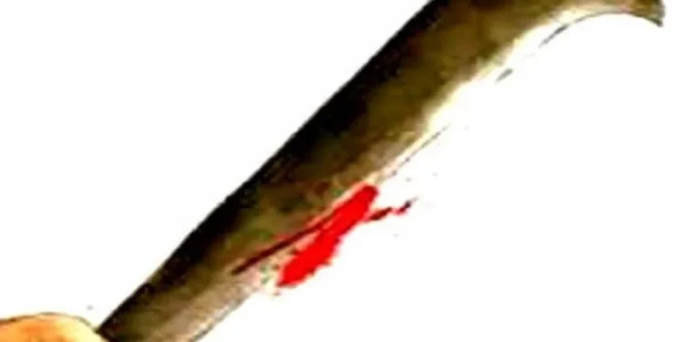 Two students hacked with a sickle near Central Metro. Two students hacked with a sickle near Central Metro.