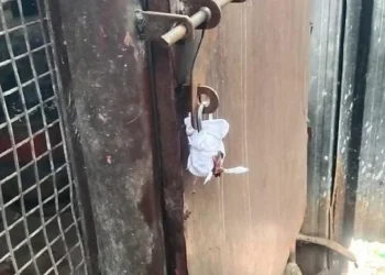 தவெக