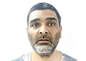 Brothers arrested for murder