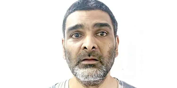 Brothers arrested for murder