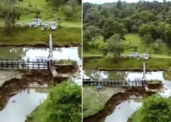 Complaint filed by Kerala Forest Department against TVK MLA over ‘drone reels’ of Periyar Dam.