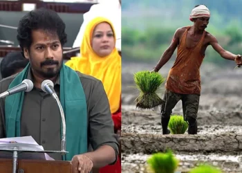 Incentive of ₹4,000 per acre for organic farmers