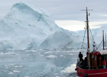 Scientists plan to tow icebergs by ship to address drinking water shortages.