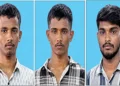 Three brothers from Nellai pass the NEET exam and secure seats in medical colleges. Three brothers from Nellai pass the NEET exam and secure seats in medical colleges.