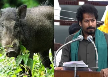 Wild Boar Damage Prevention Scheme Key announcement in the Agriculture Budget