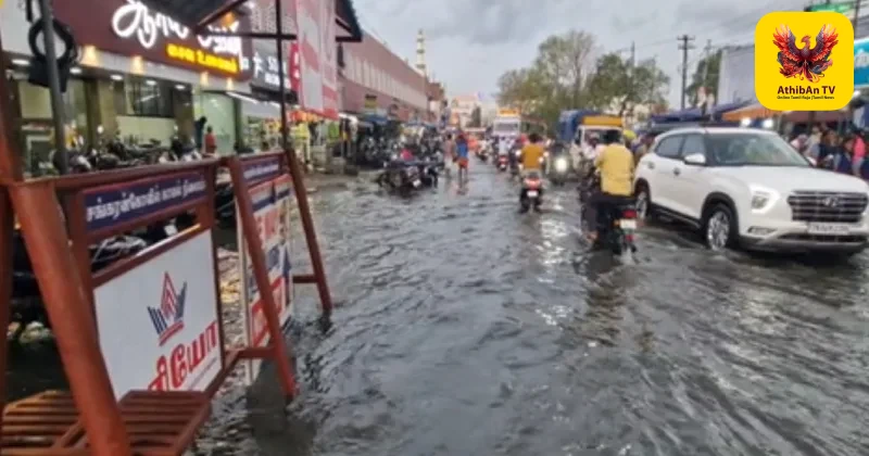 வெப்பம் தணிந்தது: சங்கரன்கோவில் மற்றும் தேனி மாவட்டங்களில் சூறைக்காற்றுடன் கனமழை!