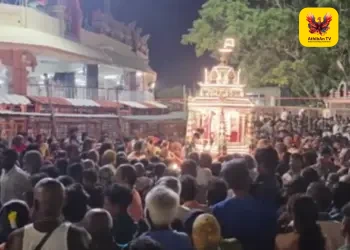 பழனியில் சித்ரா பௌர்ணமி விழா: தங்கத் தேரில் ஜொலித்த முருகப்பெருமான் – பல்லாயிரக்கணக்கான பக்தர்கள் தரிசனம்!